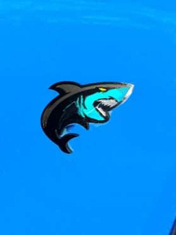 DVSshawn